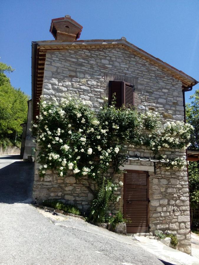 Cantiano Bed & Breakfast Sentiero 54 المظهر الخارجي الصورة